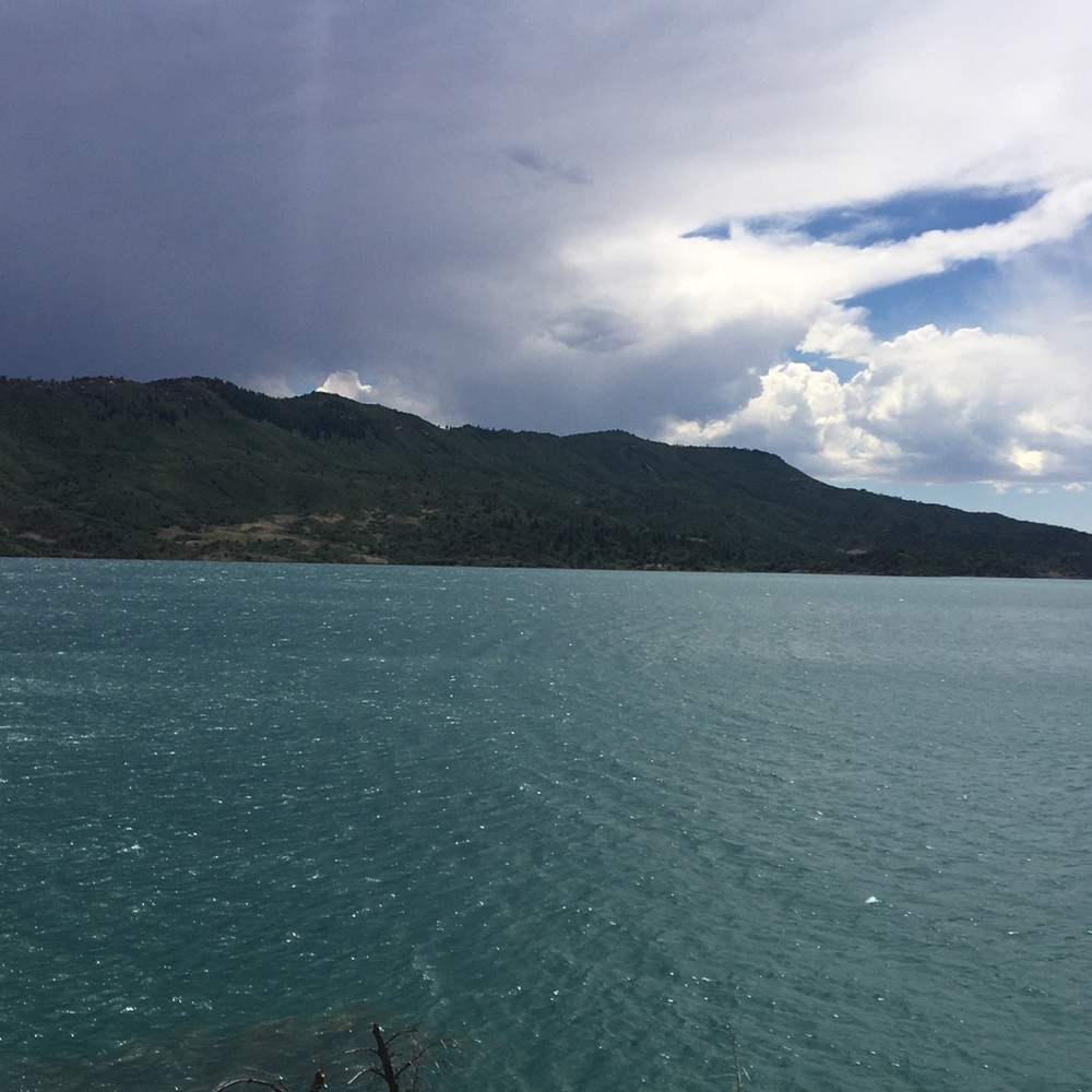 Meet your Posher, Sallie